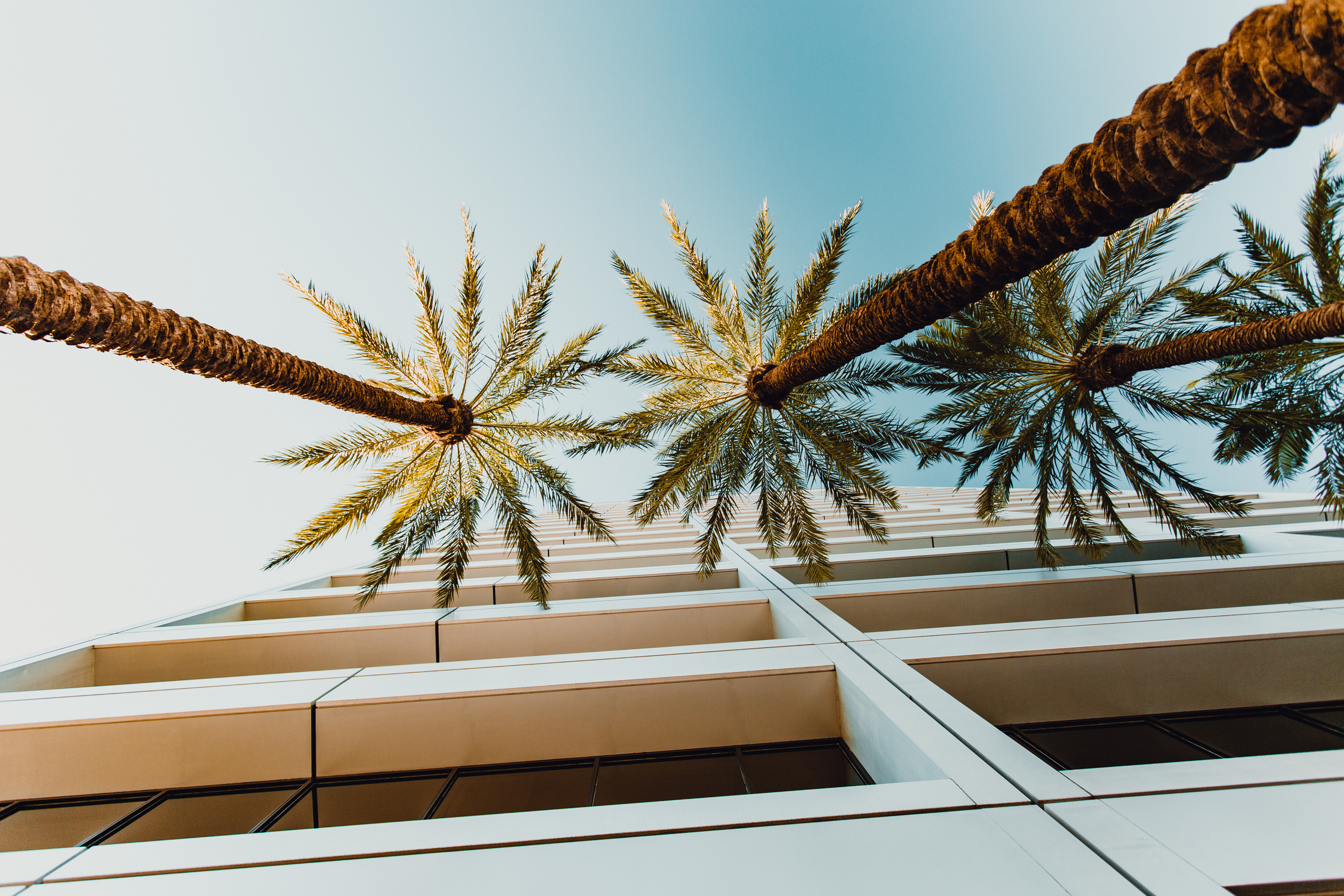 CJBuildingFinals-4
